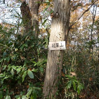 紅葉山