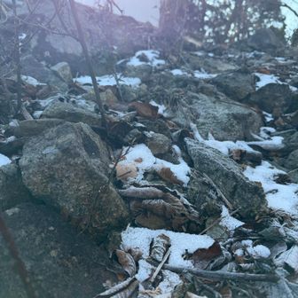 ちらっと山頂付近は雪の残り❄️