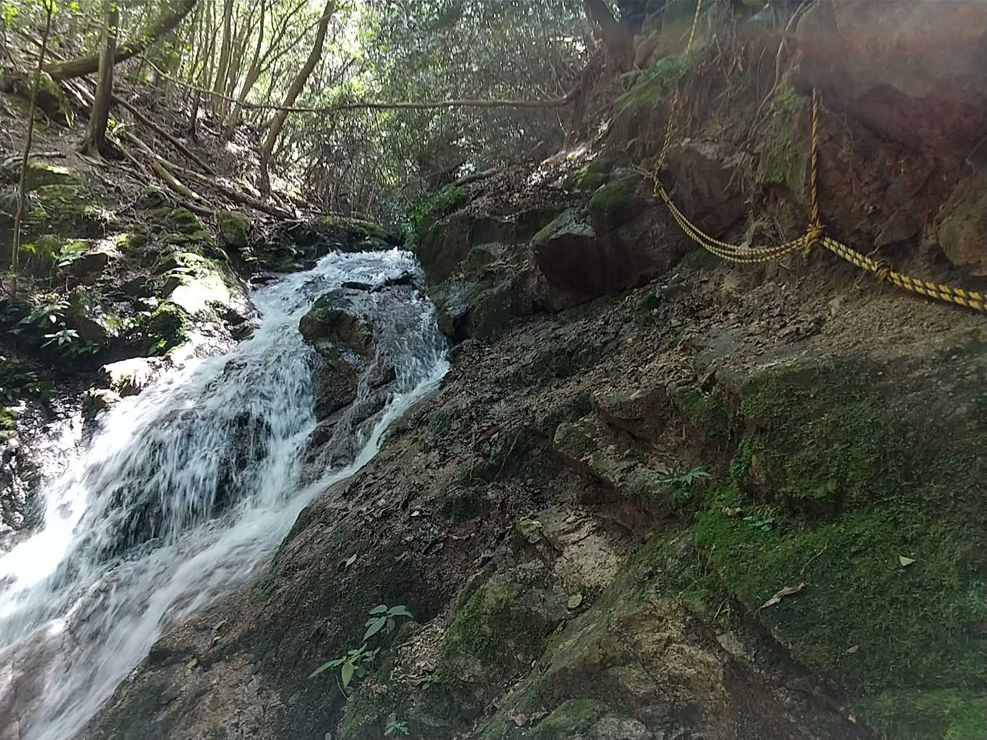 苔むした岩場。命綱のロープを伝って😰
