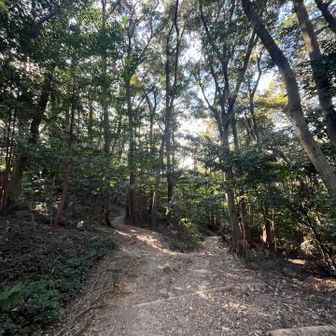 分岐のたびにYAMAP確認👀