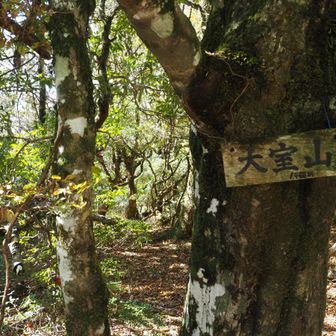 大室山