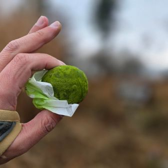 今日のおやつ②

地元新宮の「道の駅霧の森」の霧の森菓子工房謹製「霧の森大福」🟢

餅生地に新宮茶を贅沢に使用
新宮町は四国のお茶産業の発祥地ともいわれているそうだ
中にホイップクリームとこし餡

2024年10月のネット抽選販売では121倍の倍率を記録するほど
転売ヤーは買い占めやめてほしい
抹茶の生産量が限られていること、手作りの部分が大きいことから量が作れないらしい
ここへ来たら食べとかないとなあ
うまうま😋

因みに高知の津野「満天の星大福」はこれのほうじ茶バージョン
同じ大原一郎氏のプロデュースだ
こっちもうまいよ