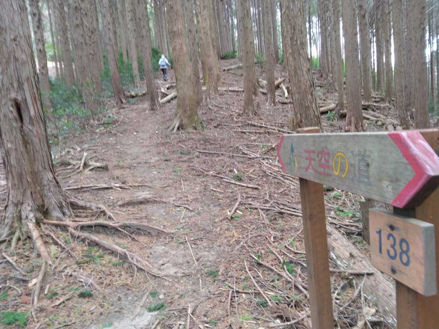 てくてく‥🚶‍♂🚶‍♀してたら‥