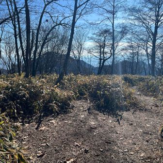 ここも開けてる