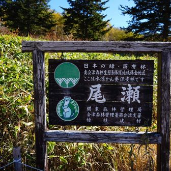 尾瀬に来たって感じ