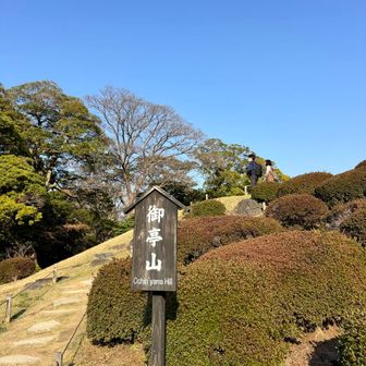 オティン山とよむらしい