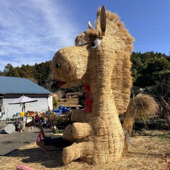 横から
可愛い感じ😍