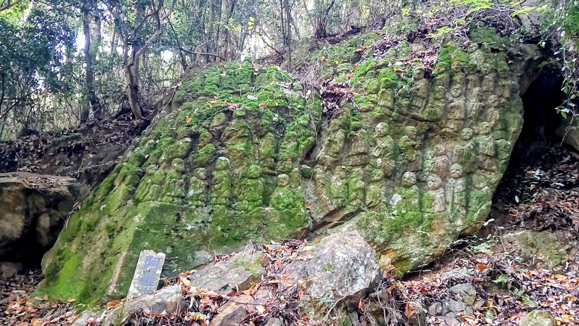 ここにも🙏
まだまだ沢山有りました