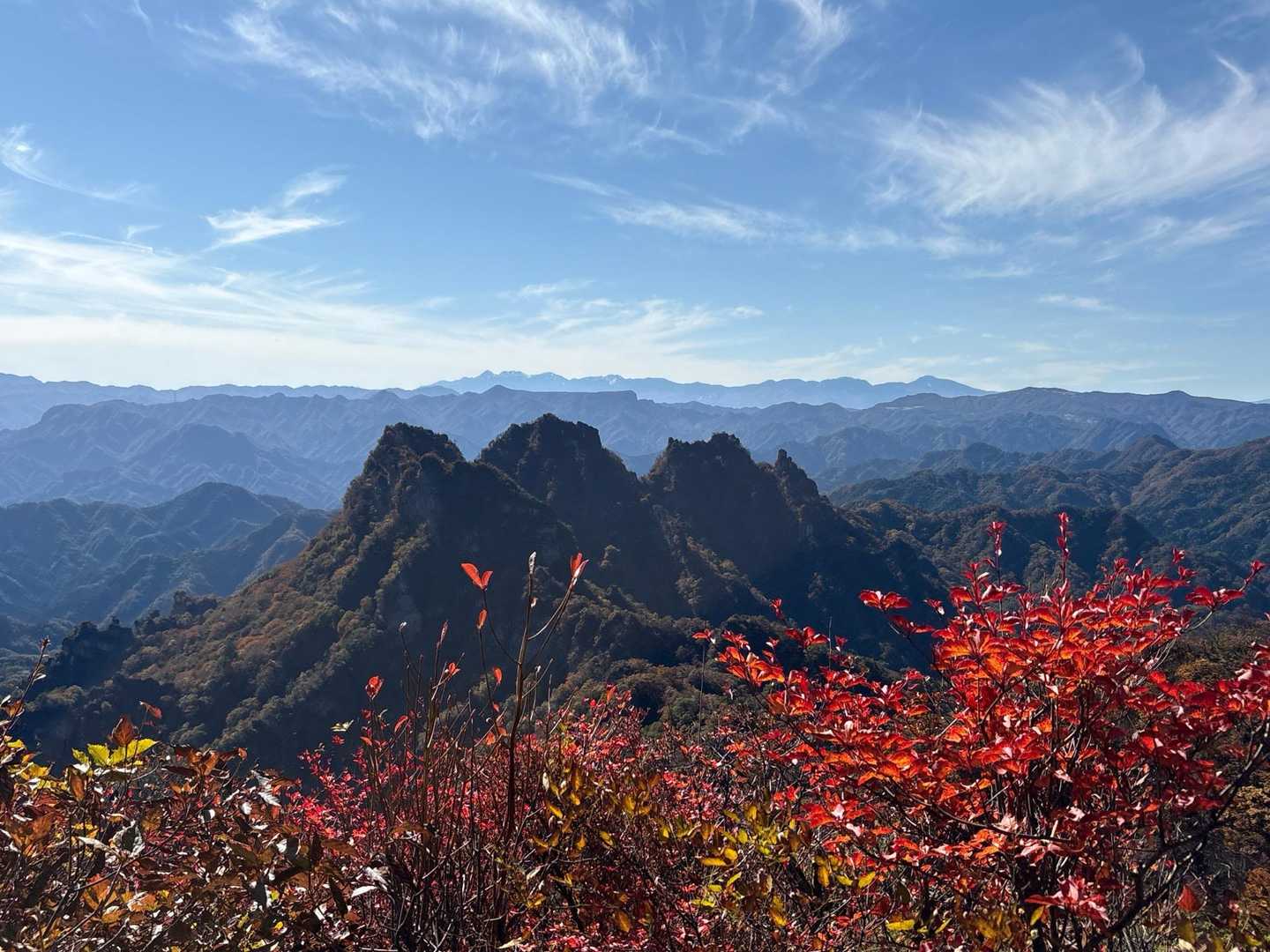 金洞山