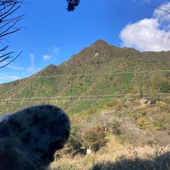 先程登った 大森山

中腹でおにぎり🍙見えないけどわかめご飯。
