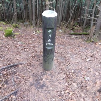 半月山、コメツガに囲まれて展望は有りません😂