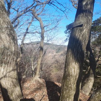 足元に細心の注意を払いながらの緊張感の中、らくだ山山頂到着。さらに村山地区の取り付き地点まで気をゆるめず下っていかなければならない。