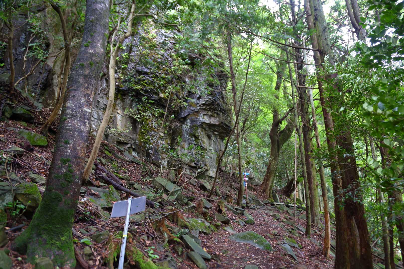 求菩提資料館前バス停-求菩提山 往復コースの写真