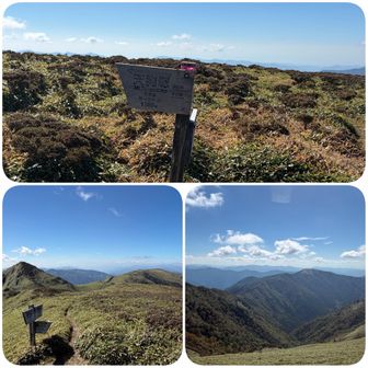牛の背に登頂⛰️
広大な笹原を眺めながら早めのランチ休憩🥐
