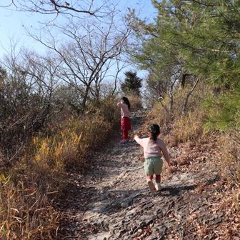 次女がここまでよく歩くとは思わなかった。