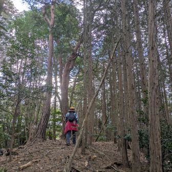 ボ谷ノ頭　山頂です✨