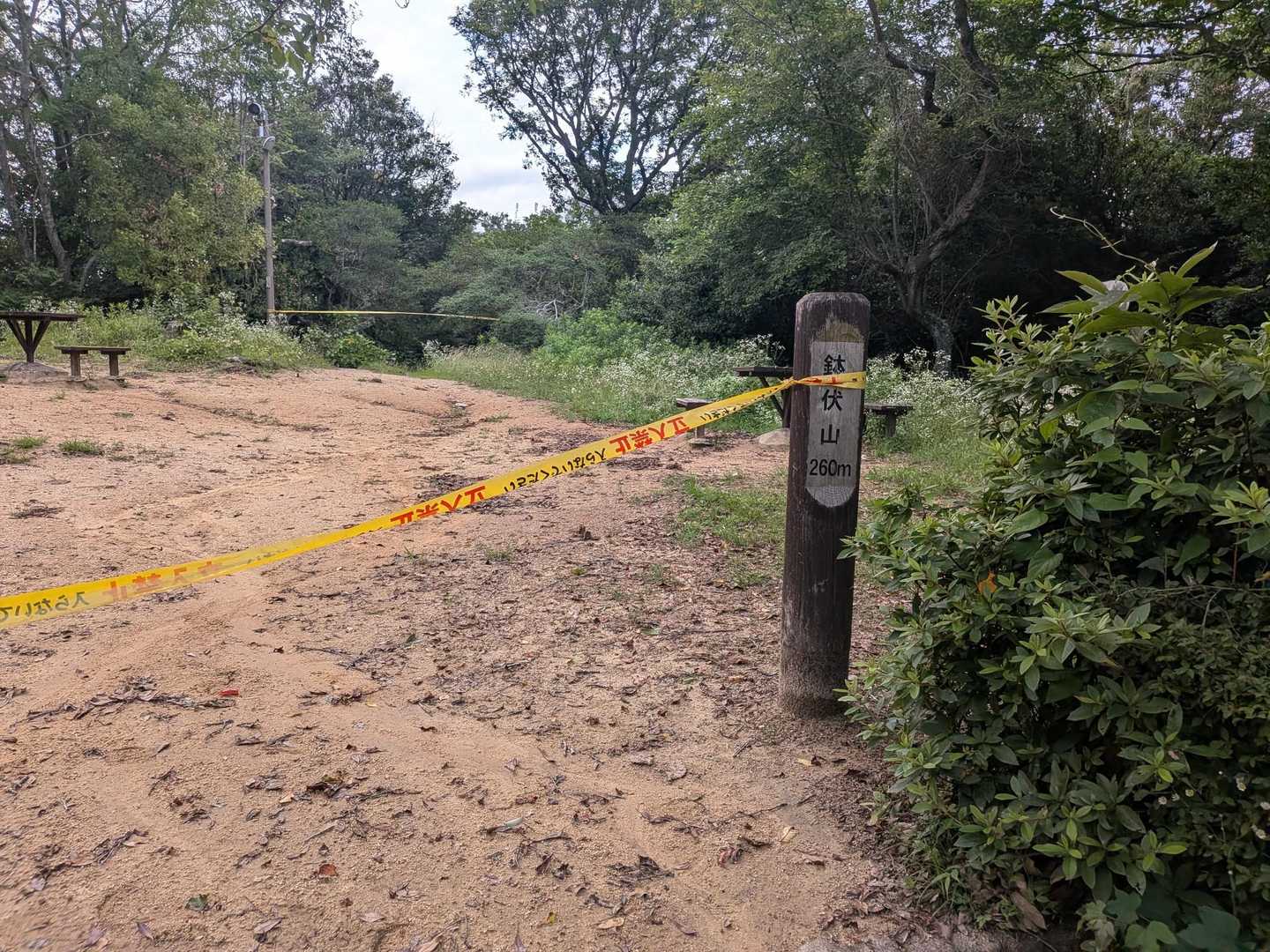 えっっ
と思ったら巻き道があるとのこと
初心に帰ってルート探しするの楽しかった