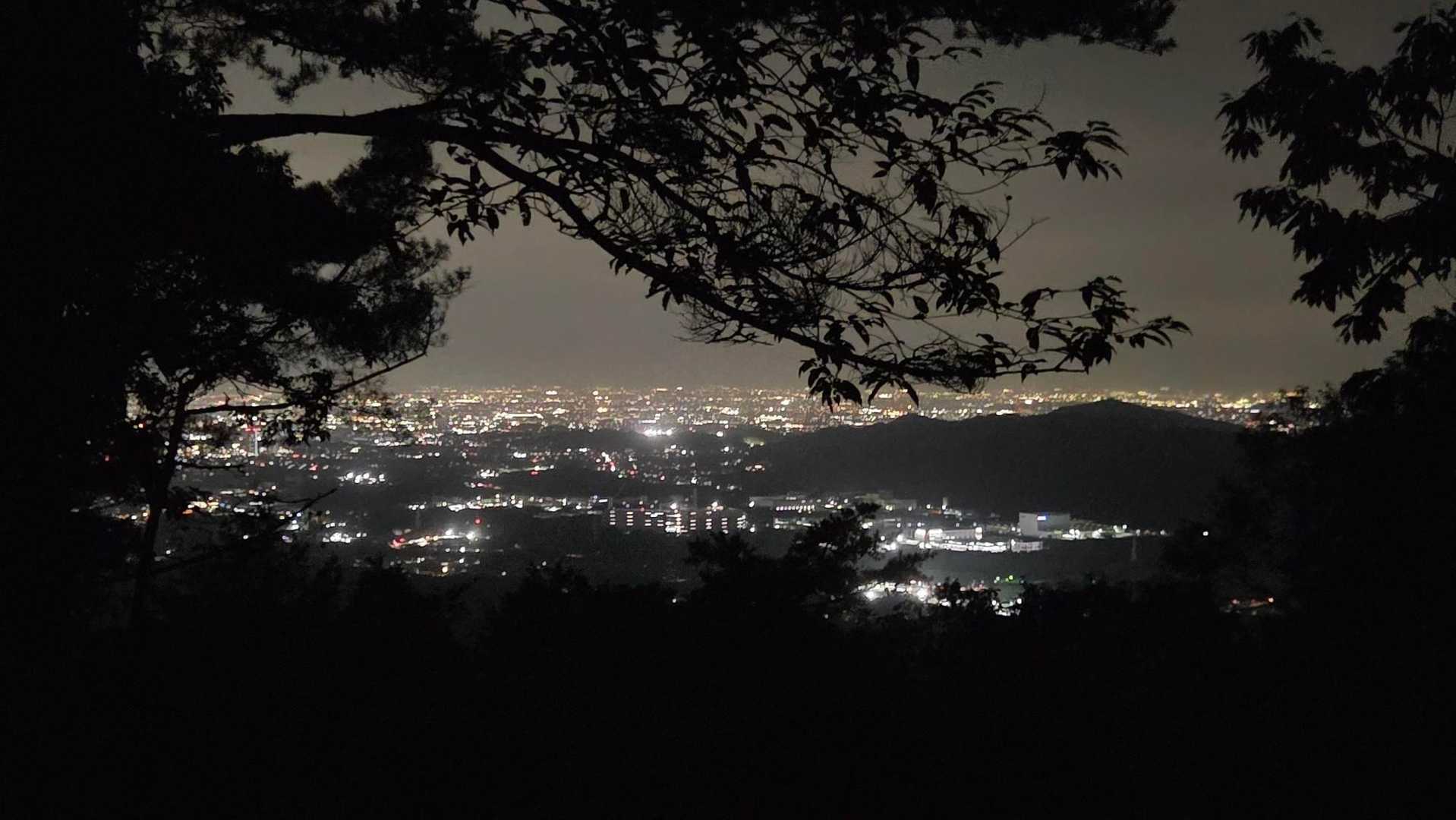 からの夜景