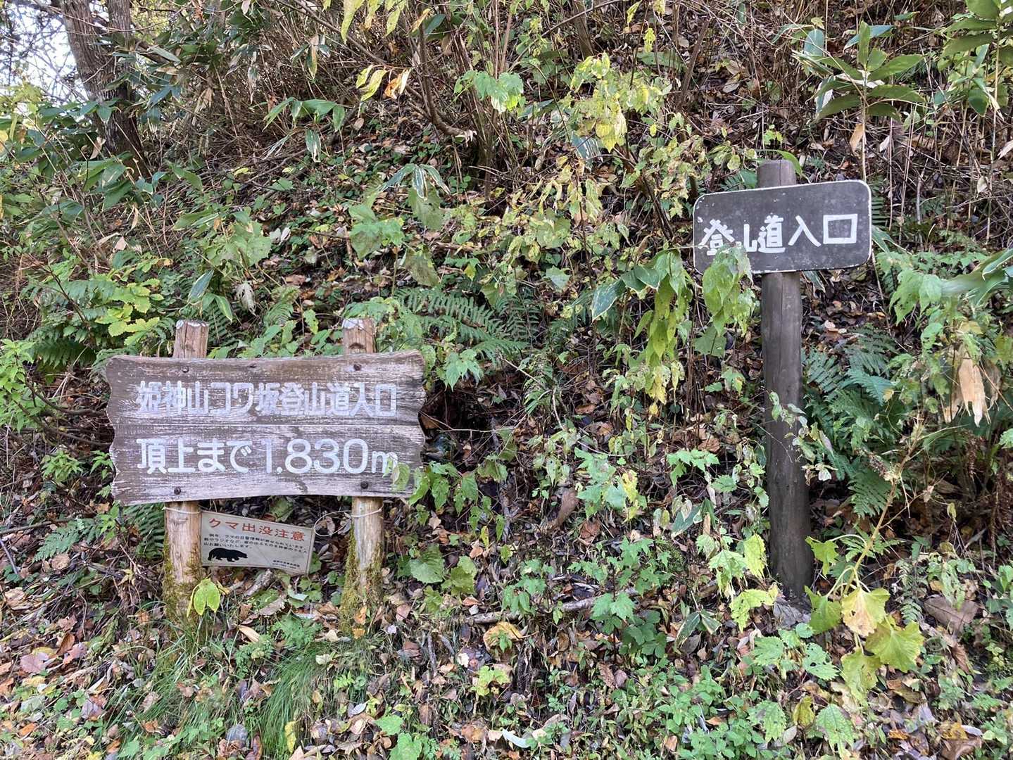 コワ坂登山口。