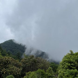 あーガスガスに😮‍💨