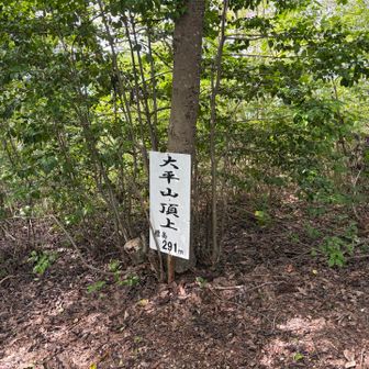 きつかった、ここまで。大平山。
ここから町まで下りです。
