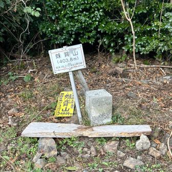 山名標識もあり。