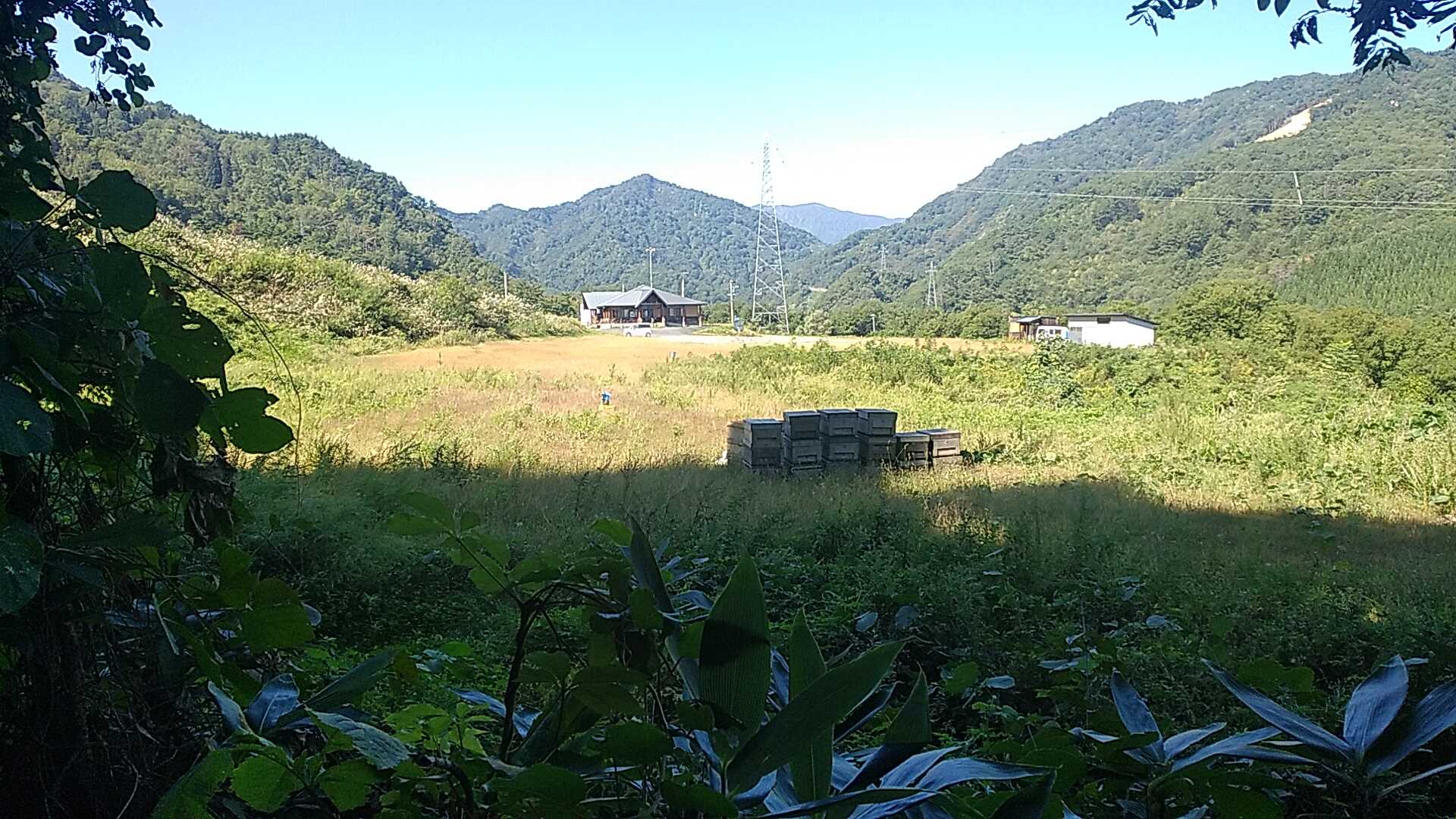 いきなり開ける
