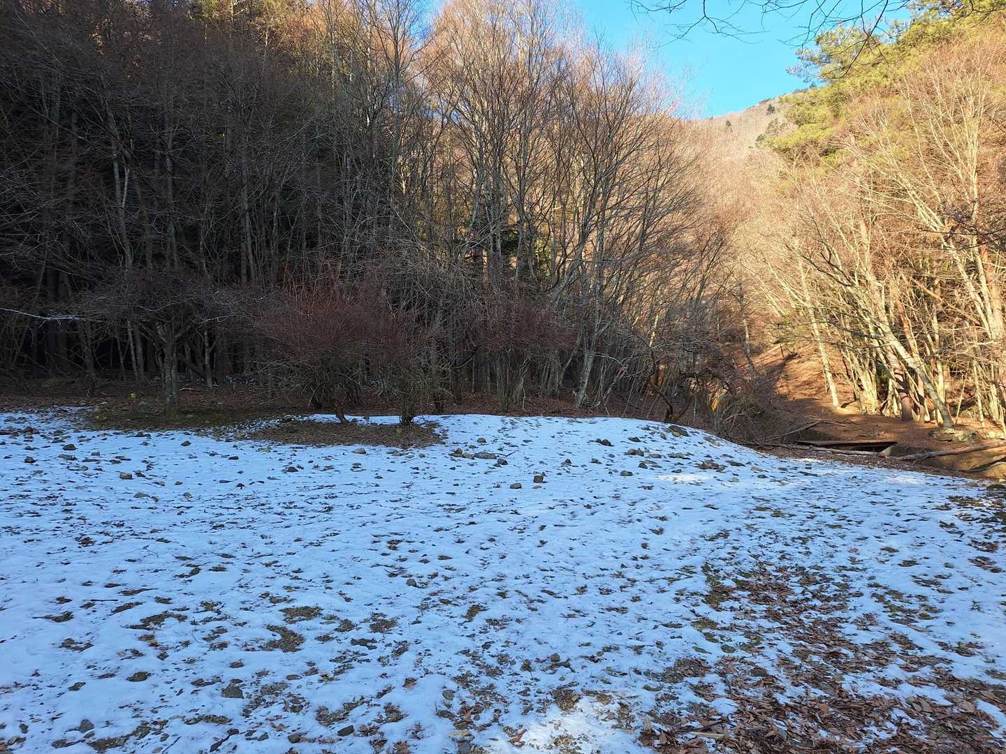 日陰は雪が残ってる❄
