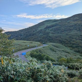 道路が見えてきました