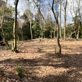 山頂標識はなさそうですが古墳で広場のようなところでした〜