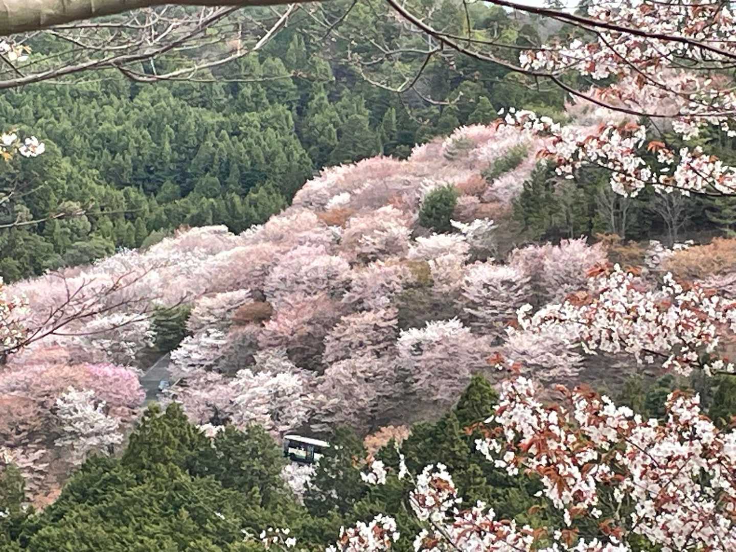 金峯山寺-韋駄天山-吉水神社 往復コースの写真