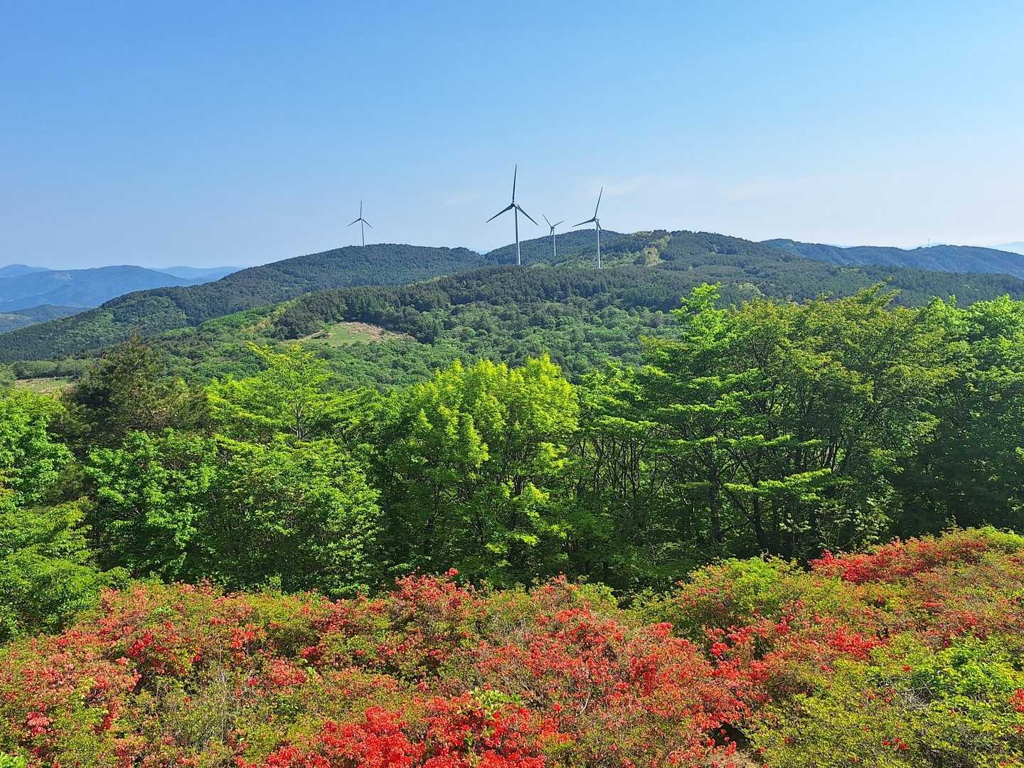 気仙沼側登山口-徳仙丈山 往復コースの写真