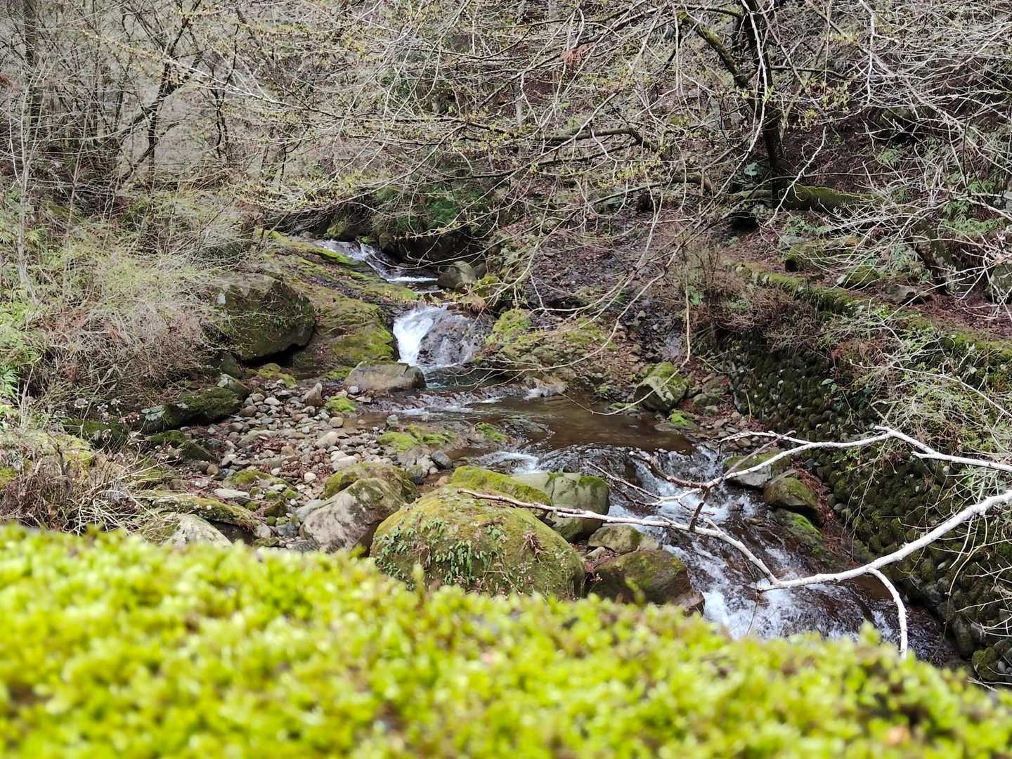 川のせせらぎの音が心地良い✨️