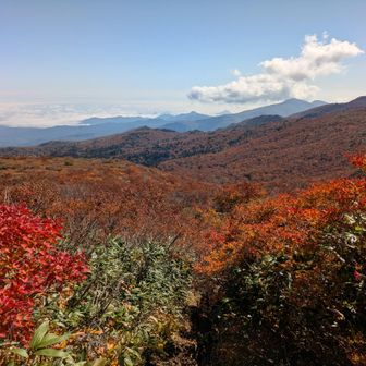 振り返ると、紅葉🍁