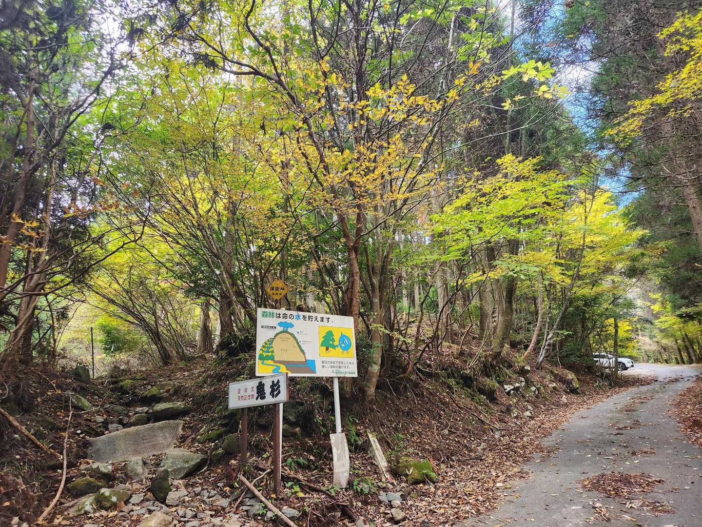 鬼杉登山口に降りてきた