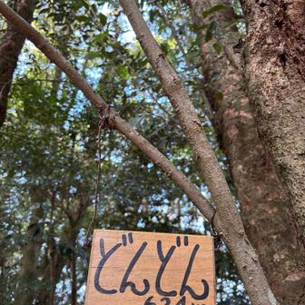 ﾗｽﾄどんどん624m🏳️‍🌈よく見てた標識ﾔｯﾀｰ♡