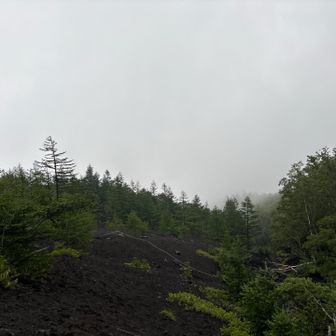 曇りのち雨予報