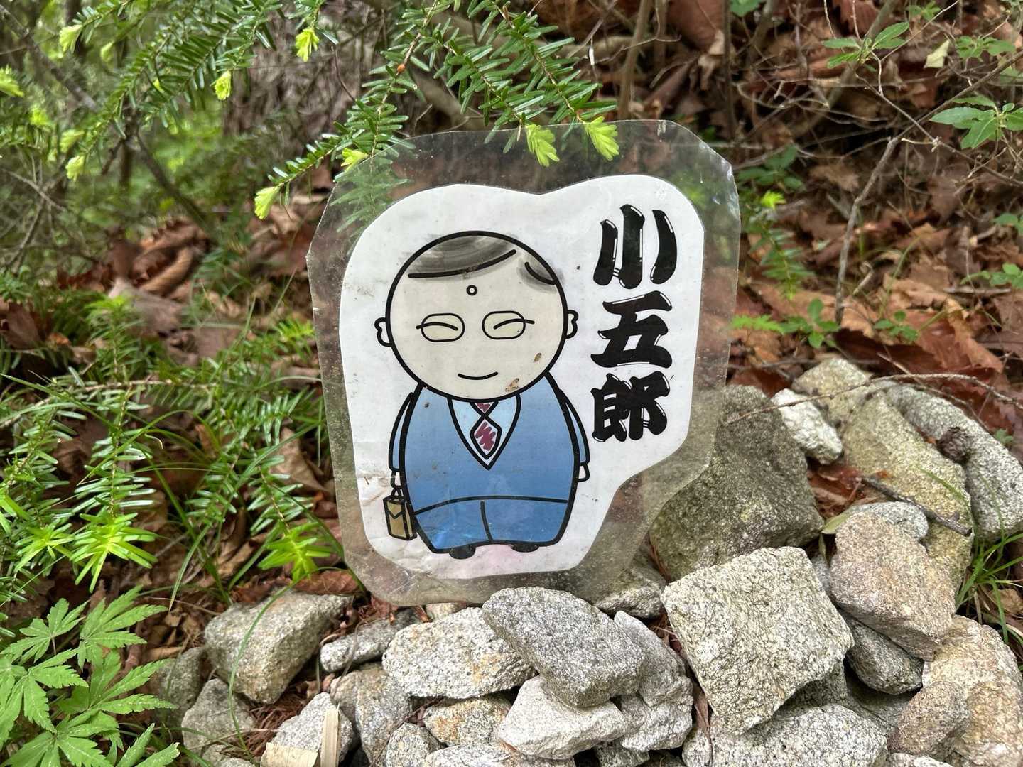 中年サラリーマンに成長しました😆