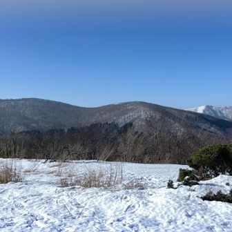 手前が御陵、烏帽子山。
奥の白いのが吾妻山。
高木が無いから白いのか、雪が多いから白いのか⁈
