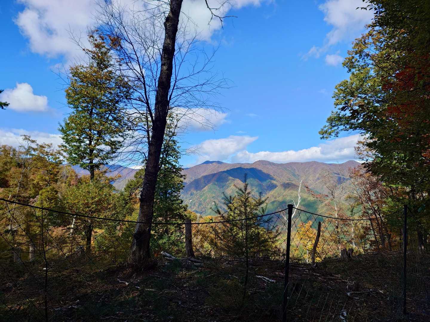 しばし何も無い登山道を歩いた後、唯一ひらけた場所へ
この先眺望もなさそうだし広さもあるのでここらでお昼にします