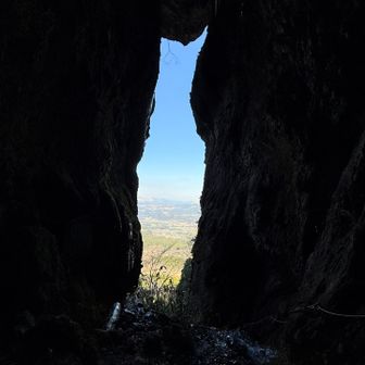 やっと来れました😸