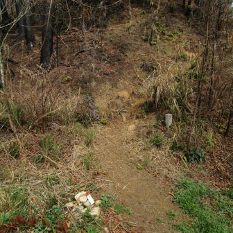 ここからおんびき岩へ登れます。