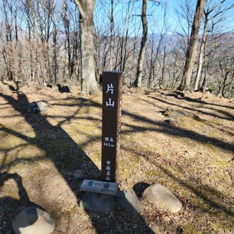 片山山頂
ここはキャンプ場と別荘地内に
