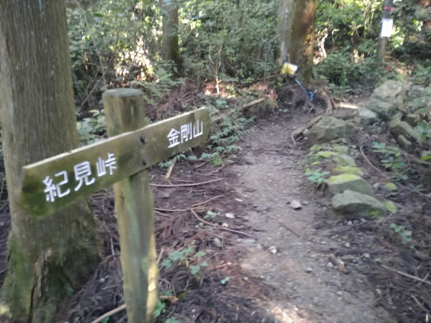 少し登りがきつくなって来たのかな？