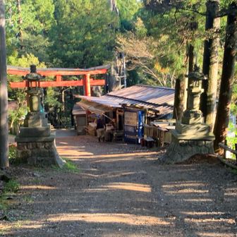子の権現に到着。スタート▶️の吾野駅から8003m.標高620m.