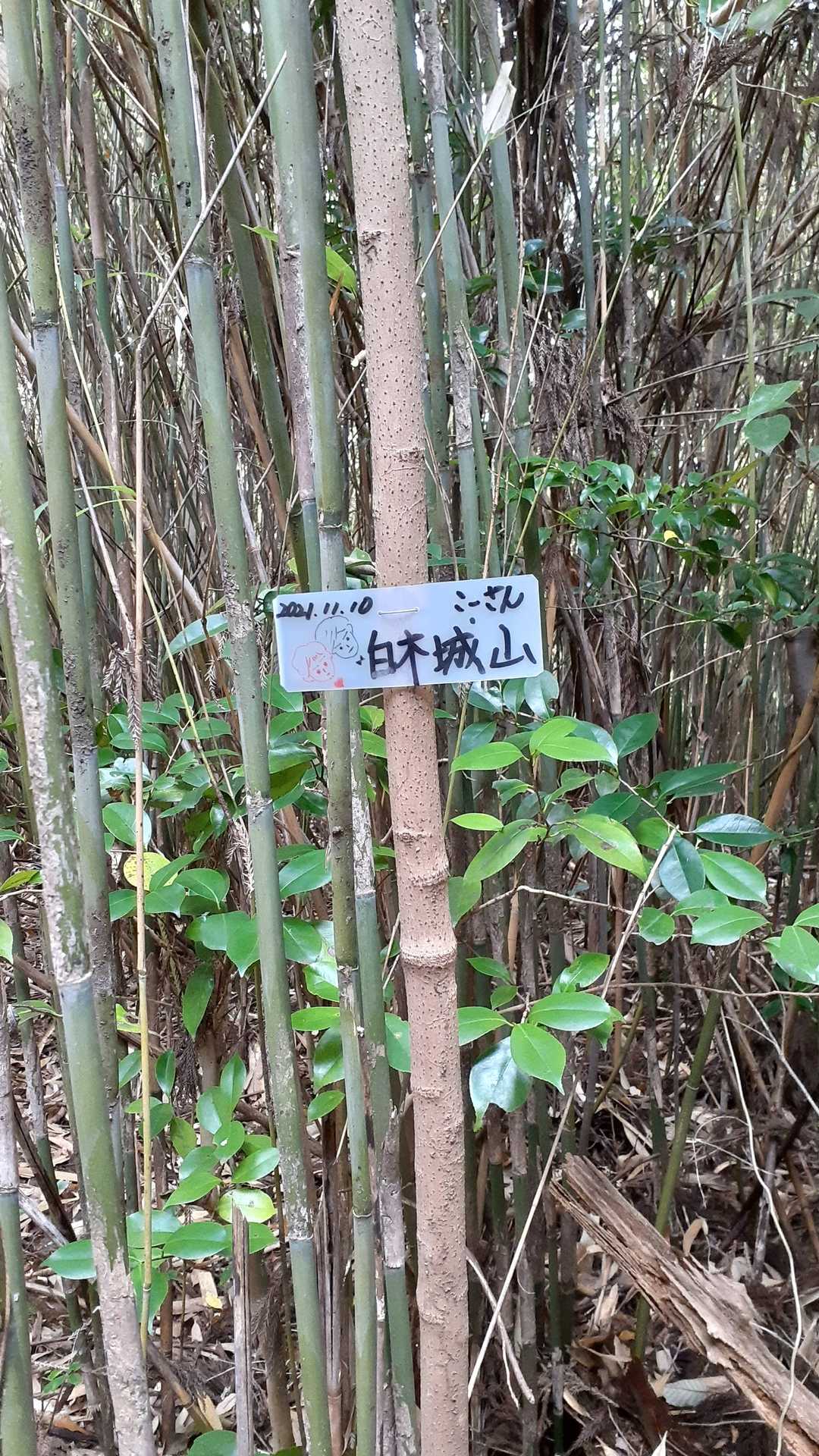 こーさんプレート
ギャー間違えてる😫　白市なのに白木と書いてしまった🙇　白ときたら白木山ですよね😅