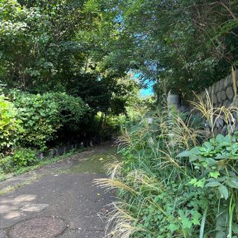 前山入り口😆この感じ、久しぶり