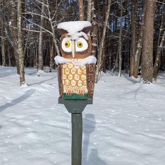 ゴール
寒いからマフラーと帽子