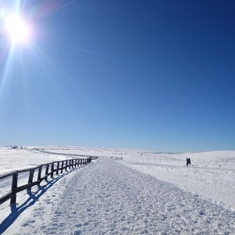 そろそろこの景色も見納め🥹
あいかわらず誰もいない🤣