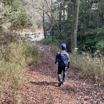 下山しました
車で公園の売店へ移動してソフトクリーム😋
サクラは2〜3分咲きでした
